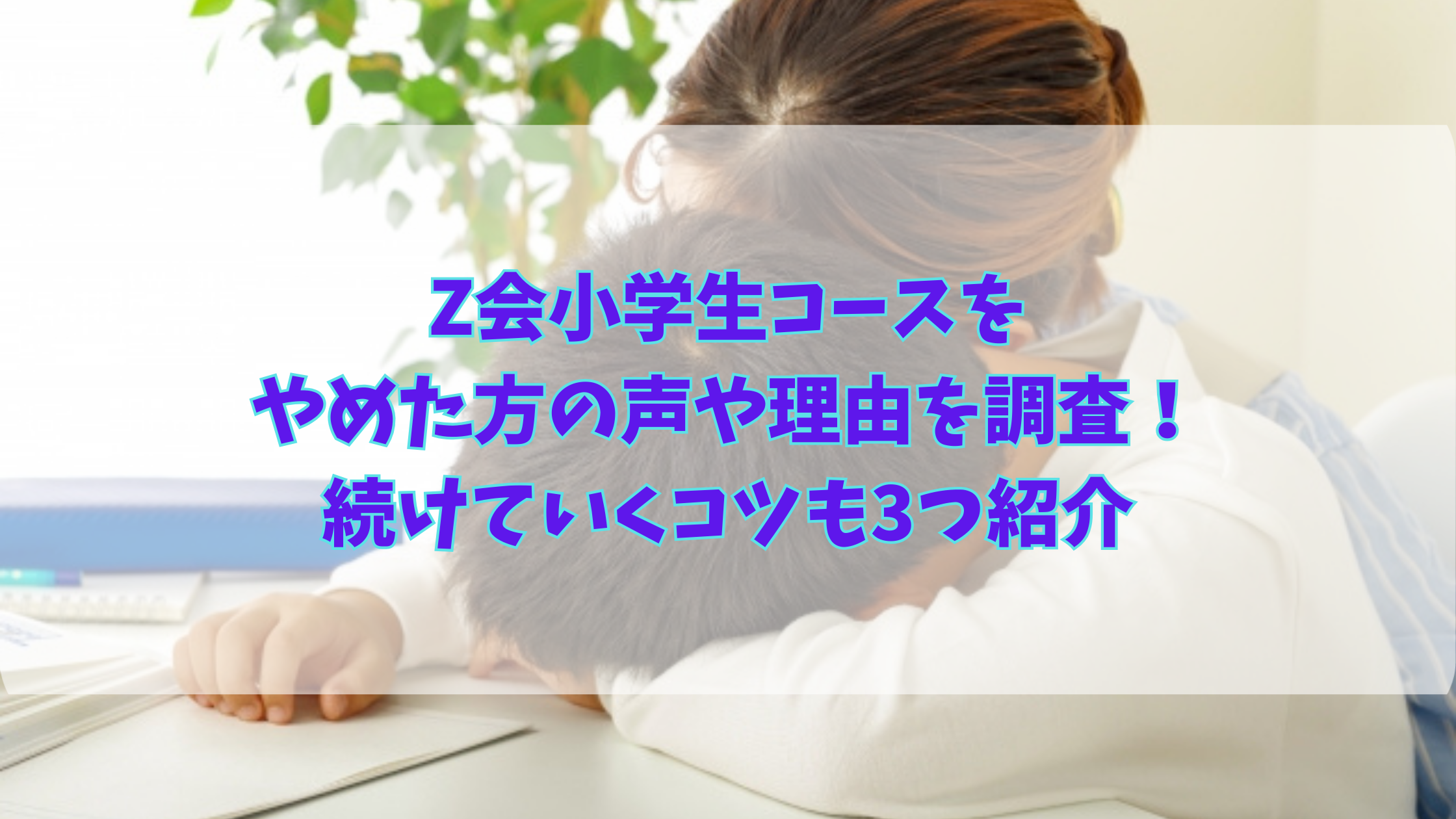 zkai-syougakusei-yameta